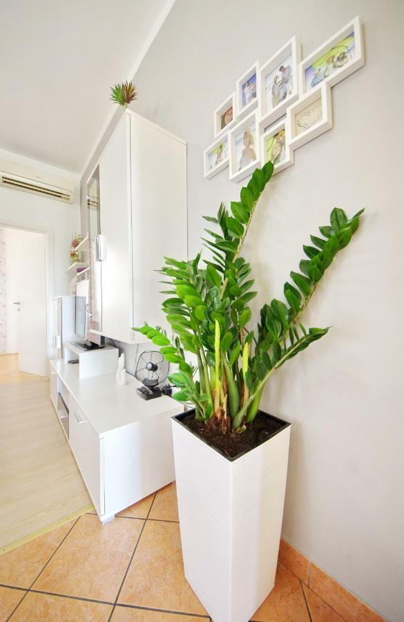 Paulin Apartment
